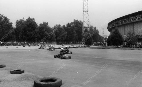 KB28_15012015_GOKART