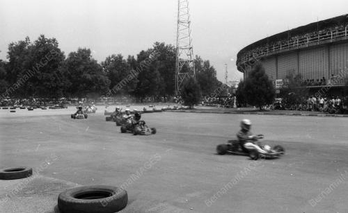 KB29_15012015_GOKART