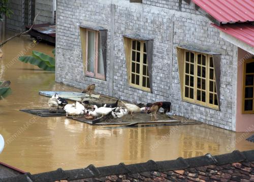 KB36_26122014_BANJIR