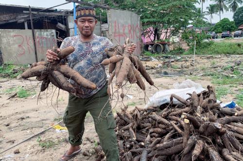 UBI KAYU