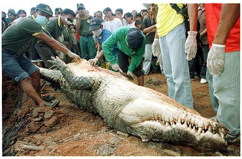 KCH02-070200_KILLER_CROC_06012016