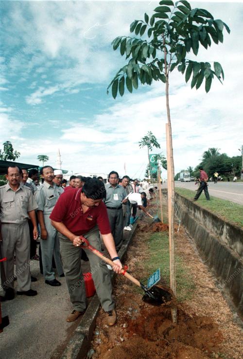 KD01-15_10-00TANAM_POKOK_14012016