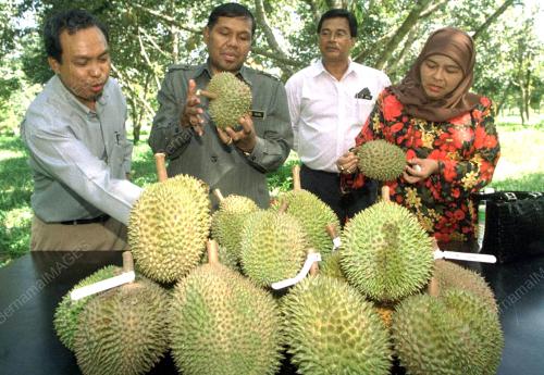 KD01-21_06_2000_DURIAN_08012016