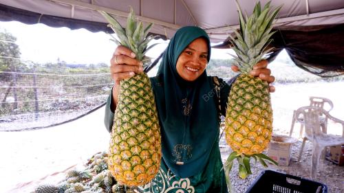 NANAS MD2 LARIS BULAN RAMADAN