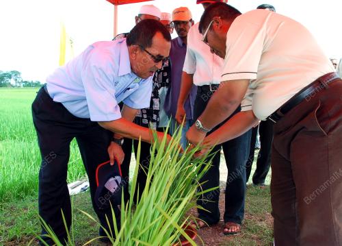 DATUK MOHD JOHARI BAHAROM
