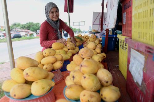 NUR AINA HADIRAH YUSOF