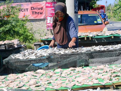 IKAN KERING KUALA KEDAH