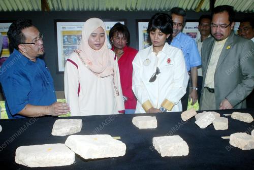 INTAN SAFINAZ TUANKU ABDUL HALIM