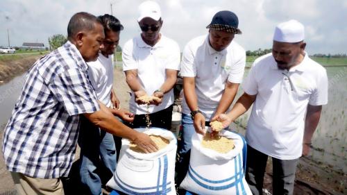 SUBSIDI BENIH PADI PETANI
