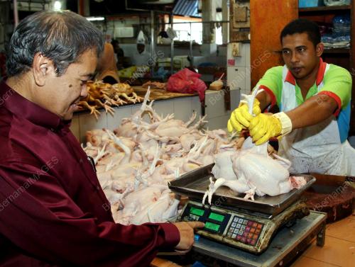 KD01_05072013_PENGGUNA_AYAM