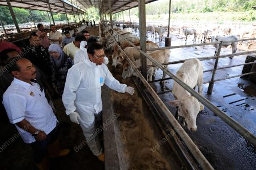 KD01_07022017_AGRO