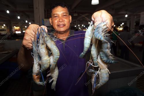 KD01_07052019_PASAR