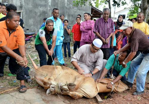 DATUK LATT SHARIMAN ABDULLAH