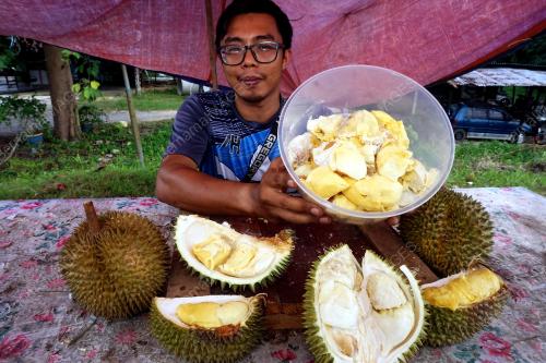 KD01_09072019_DURIAN
