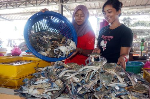 STOK IKAN TERJEJAS