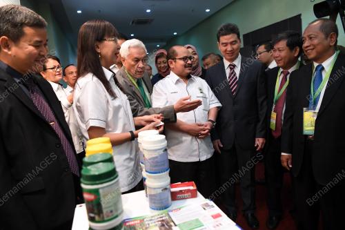 KD01_10072018_TERESA_KOK_BN201807092609