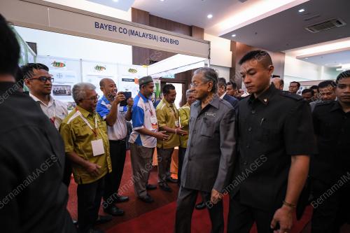 KD01_10092019_PADI_BN201909060272
