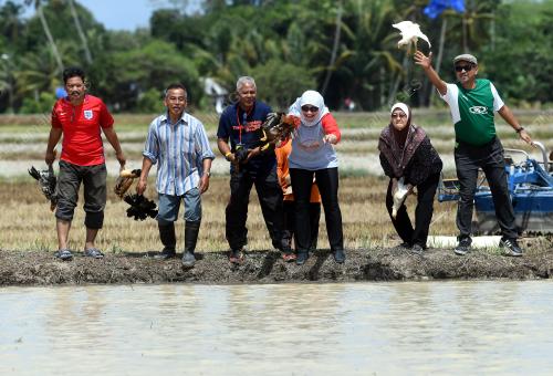 KD01_11032018_PESTA_BENDANG_BN201803091394