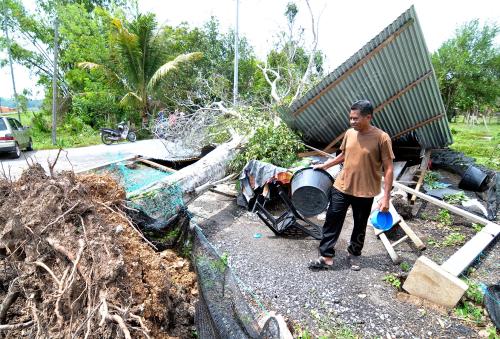 KD01_11052016_RIBUT_POKOK