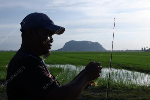 CUACA PANAS DI KEDAH