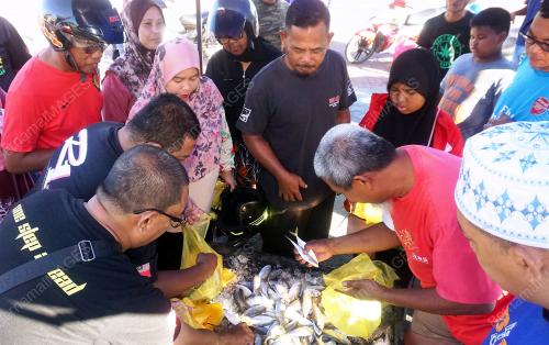 IKAN TEMENUNG PERCUMA
