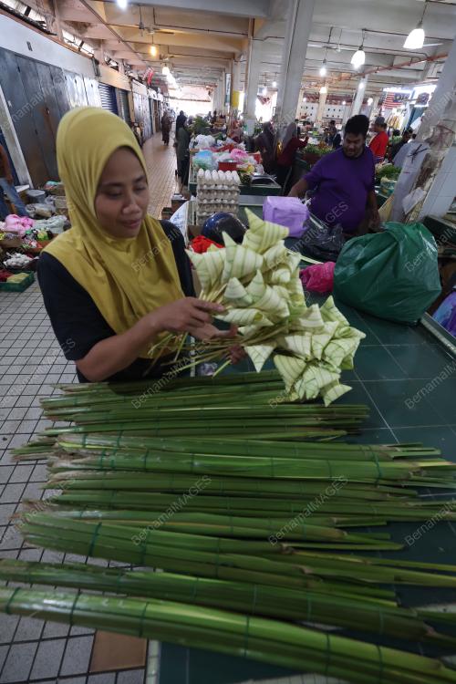 DAUN PALAS