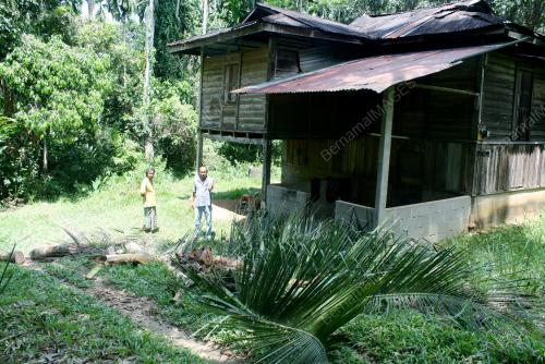 KD01_15032013_GAJAH