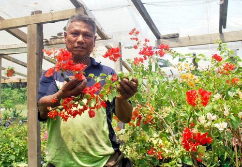 KD01_15032019_BUNGA_KERTAS