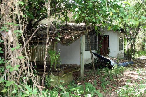 RUMAH TERBIAR