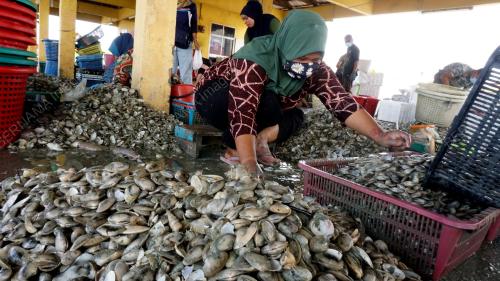 LUBUK SIPUT KUALA SALA KEMBALI RANCAK