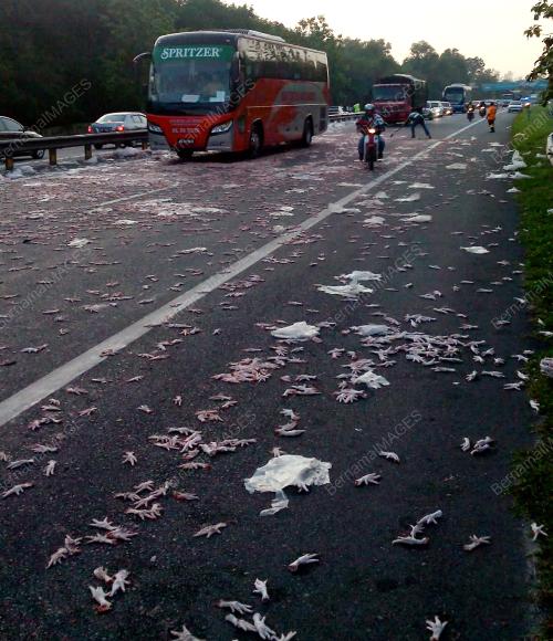 KD01_16122015_KEMALANGAN