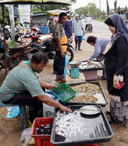 KD01_17012002_IKAN_KURANG