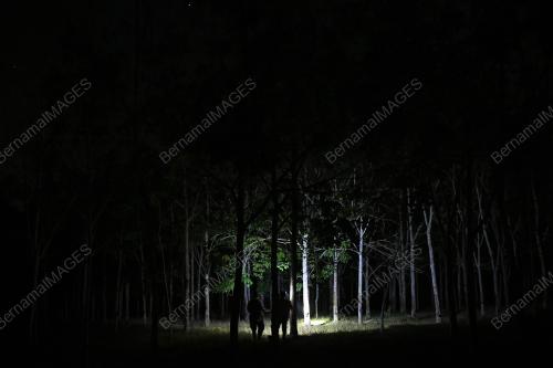 PENOREH GETAH MALAM