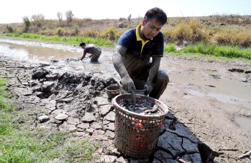 KD01_18032016_REZEKI_EL_NINO
