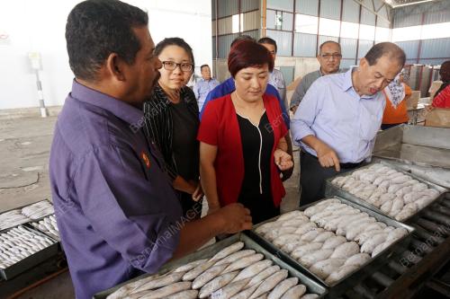 KD01_18072017_IKAN_BEKU