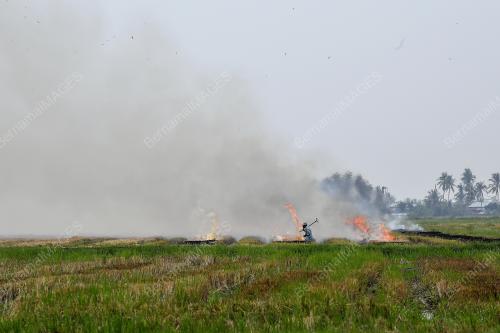 KD01_18092019_JEREBU