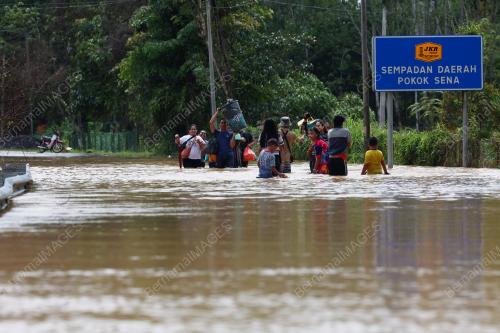 BANJIR_POKOK