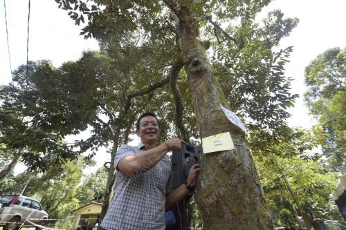 VARIETI DURIAN BARU D216