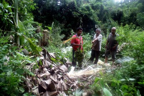 KD01_20092012_GAJAH