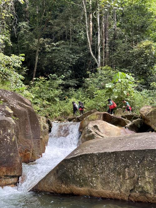 SAMBUTAN HARI HUTAN ANTARABANGSA 2024