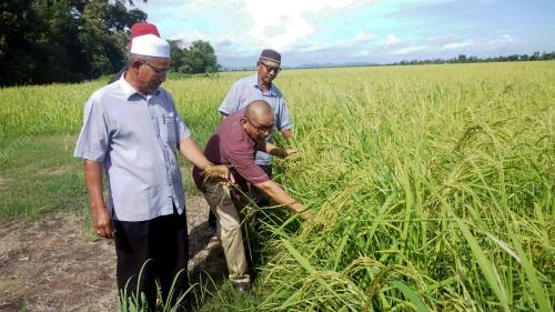 PESAWAH BANTAH KENAIKAN UPAH MENUAI