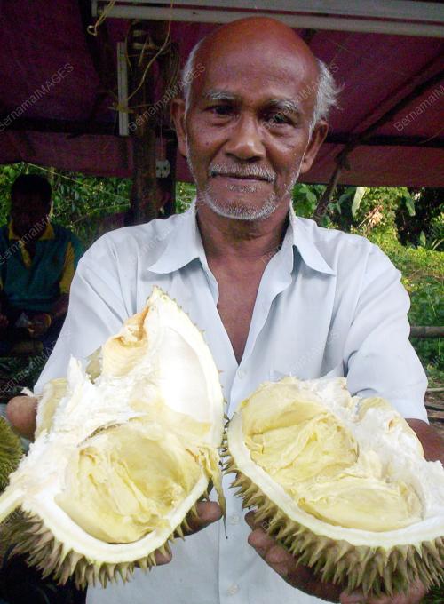 RAMLI YAAKOB