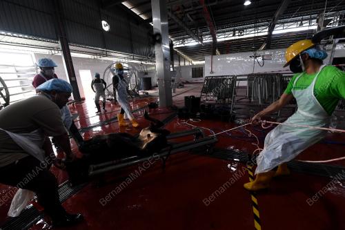 PUSAT PENYEMBELIHAN PAYA PAHLAWAN