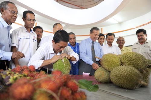 KD01_24062013_DURIAN