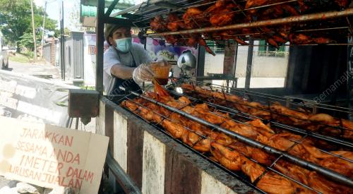 AYAM GOLEK PKP
