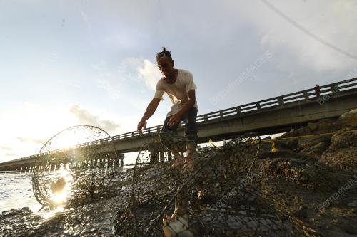 PENCARI KETAM BATU