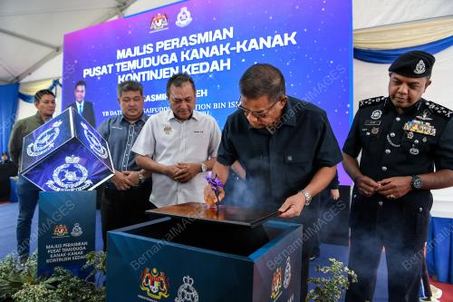 DATUK SERI SAIFUDDIN NASUTION ISMAIL