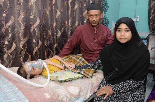 NORFARAH ABD HAMID