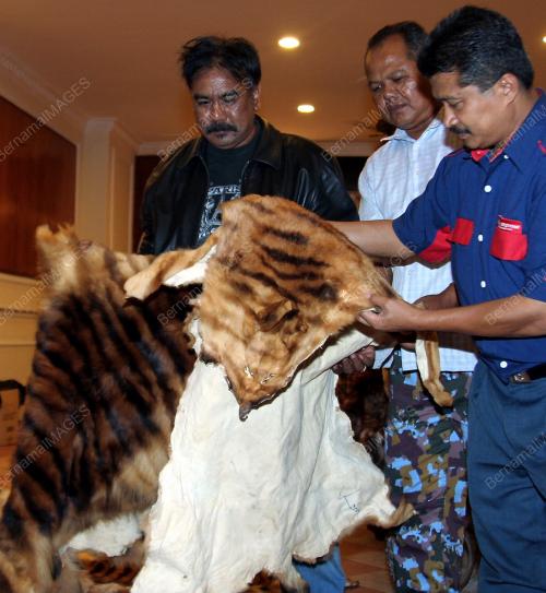 MOHD NOOR IDRIS