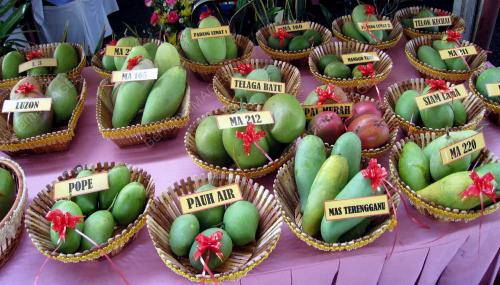 MANGGA